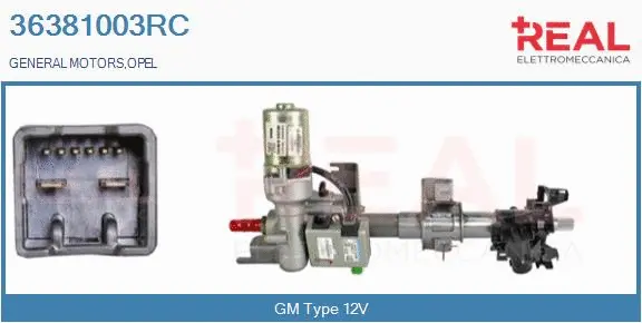 Steering Column (36381003RC)