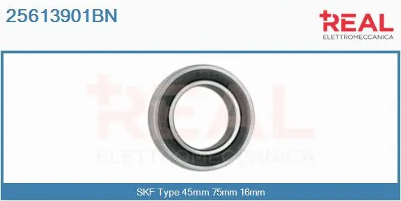 Bearing (25613901BN)