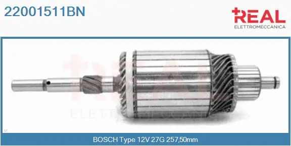 Armature, starter (22001511BN)