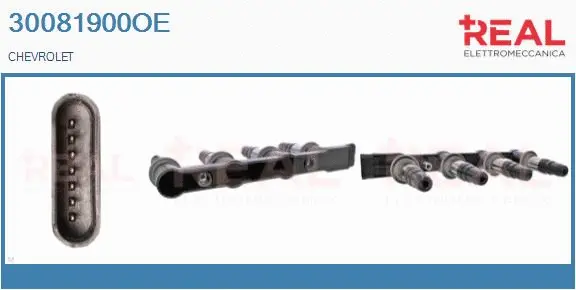 Ignition Coil (30081900OE)