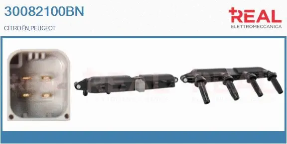 Ignition Coil (30082100BN)