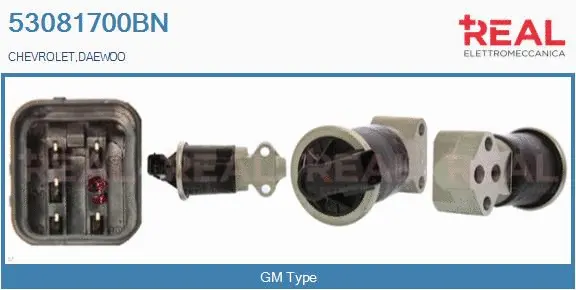EGR Valve (53081700BN)