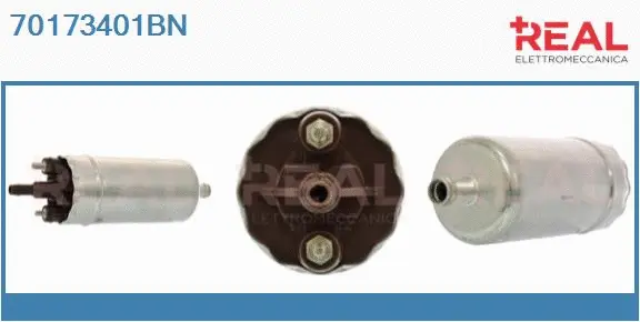 Fuel Pump (70173401BN)