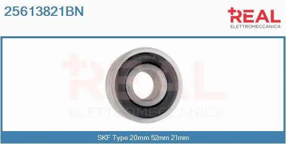 Bearing (25613821BN)