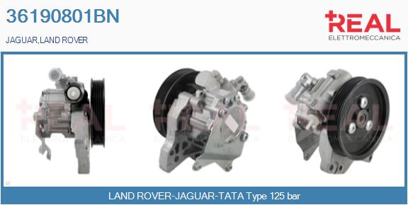 Hydraulic Pump, steering (36190801BN)