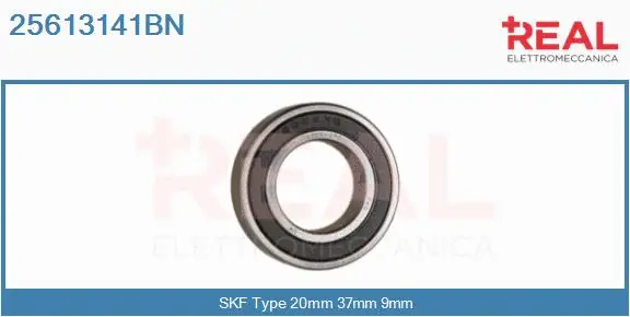 Bearing (25613141BN)