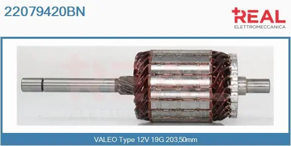 Armature, starter (22079420BN)