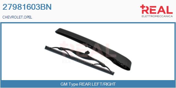 Wiper Arm, window cleaning (27981603BN)