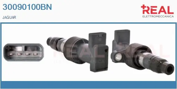 Ignition Coil (30090100BN)