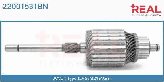 Armature, starter (22001531BN)