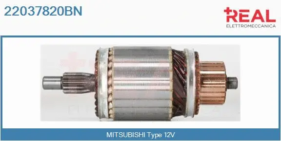 Armature, starter (22037820BN)