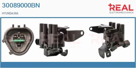 Ignition Coil (30089000BN)