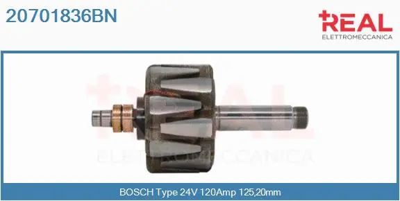 Rotor, alternator (20701836BN)