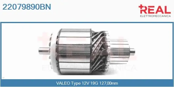 Armature, starter (22079890BN)