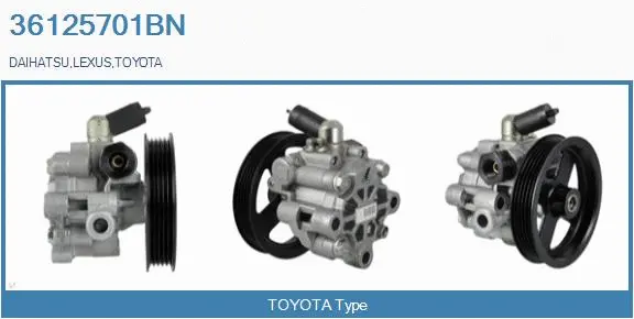 Hydraulic Pump, steering (36125701BN)