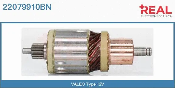 Armature, starter (22079910BN)