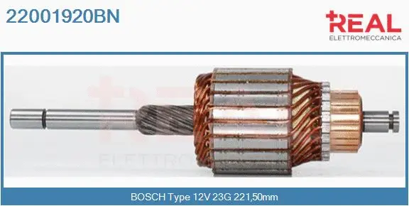 Armature, starter (22001920BN)