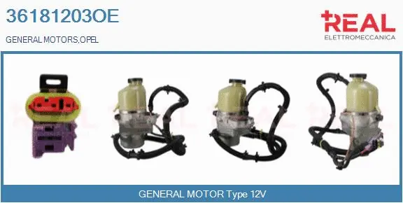 Hydraulic Pump, steering (36181203OE)