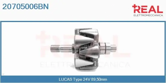 Rotor, alternator (20705006BN)