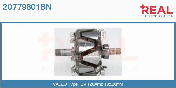 Rotor, alternator (20779801BN)