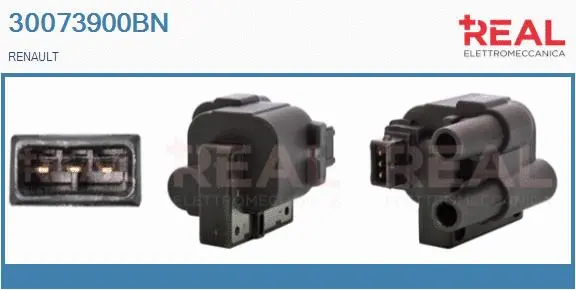 Ignition Coil (30073900BN)