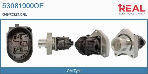 EGR Valve (53081900OE)