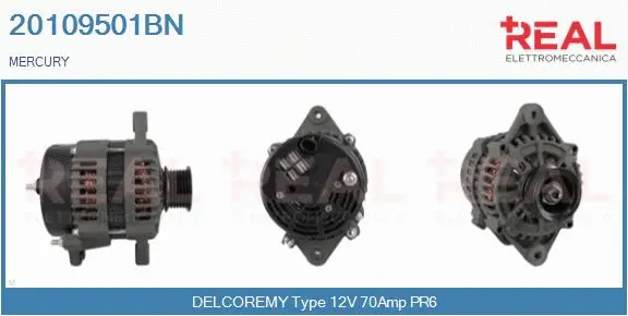 Alternator (20109501BN)