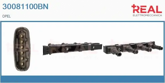 Ignition Coil (30081100BN)