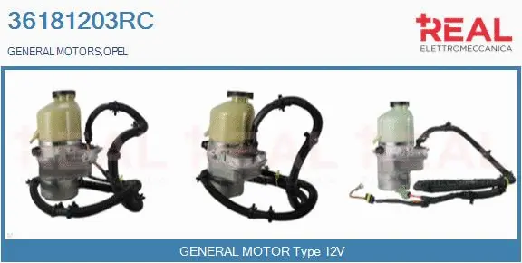 Hydraulic Pump, steering (36181203RC)
