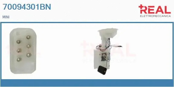 Fuel Feed Unit (70094301BN)