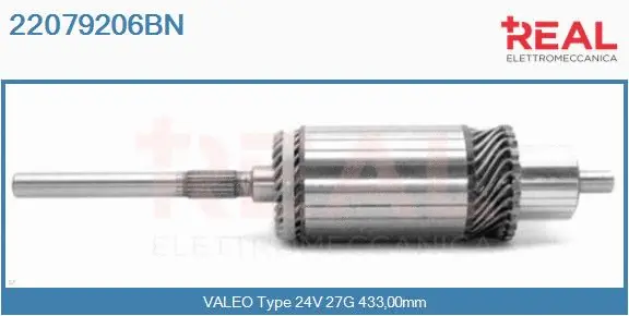 Armature, starter (22079206BN)