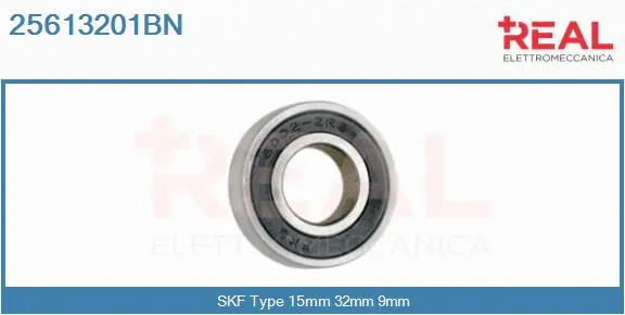 Bearing (25613201BN)