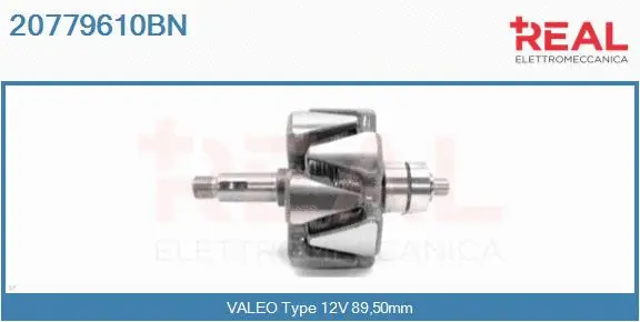 Rotor, alternator (20779610BN)