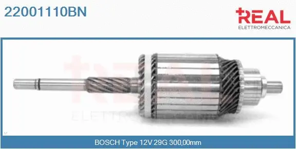 Armature, starter (22001110BN)