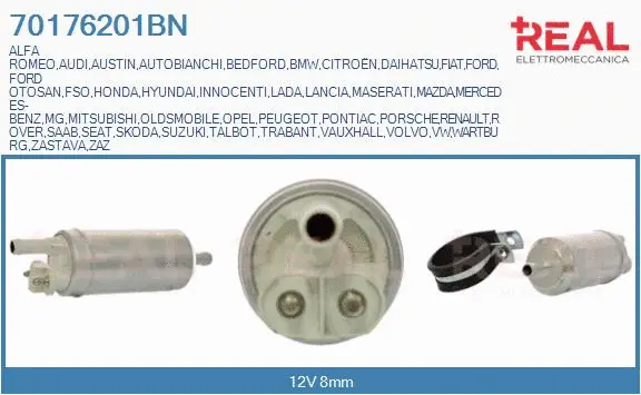 Fuel Pump (70176201BN)