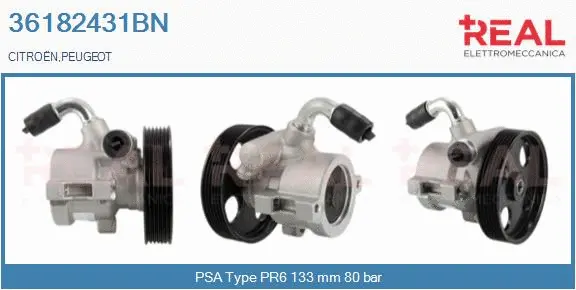 Hydraulic Pump, steering (36182431BN)