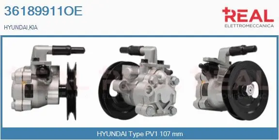 Hydraulic Pump, steering (36189911OE)