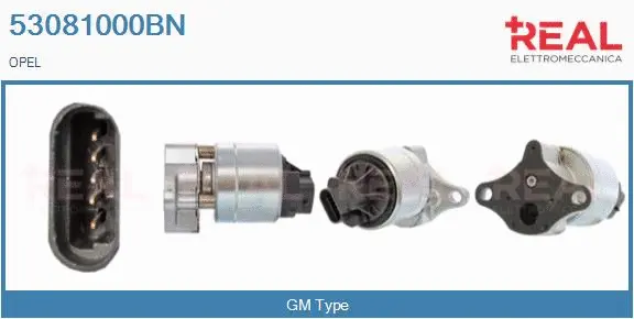EGR Valve (53081000BN)