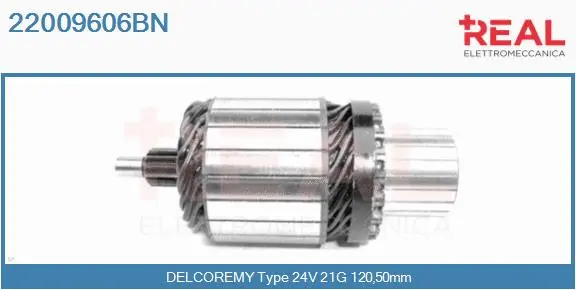 Armature, starter (22009606BN)