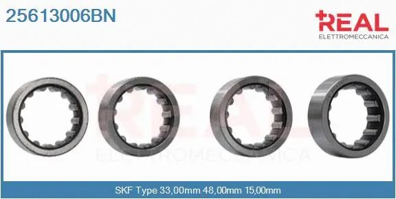 Bearing (25613006BN)