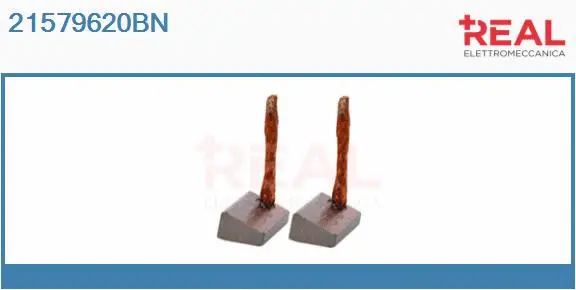 Carbon Brush, starter (21579620BN)