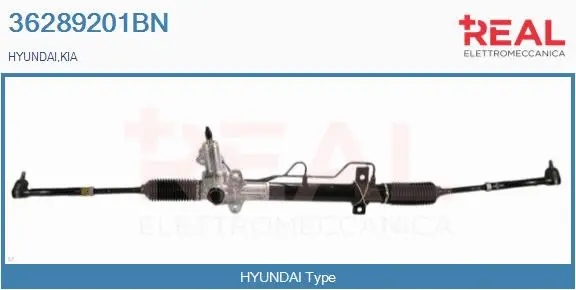 Steering Gear (36289201BN)