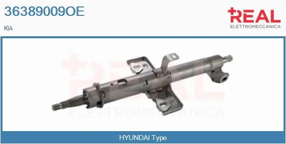 Steering Column (36389009OE)