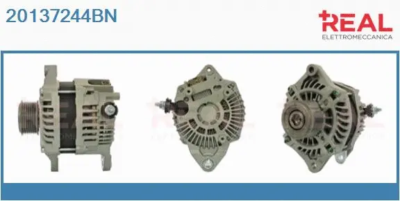 Alternator (20137244BN)