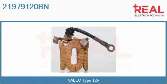 Field Winding, starter (21979120BN)