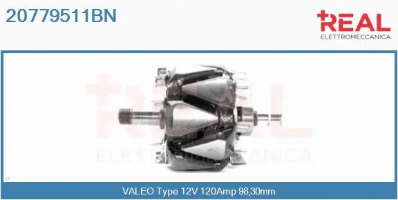 Rotor, alternator (20779511BN)