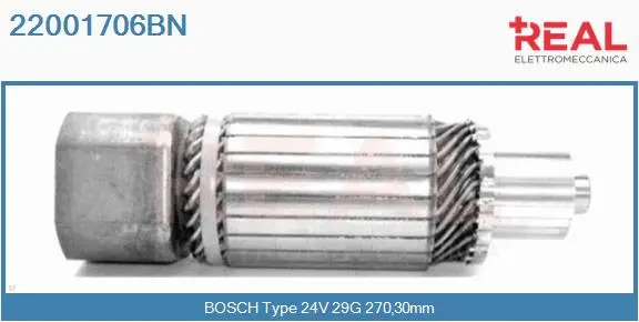 Armature, starter (22001706BN)