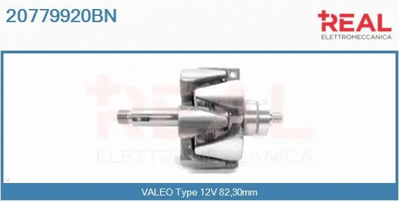 Rotor, alternator (20779920BN)