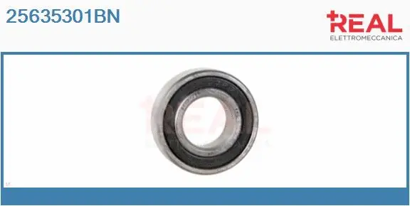 Bearing (25635301BN)