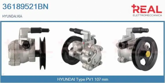 Hydraulic Pump, steering (36189521BN)